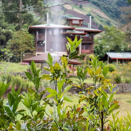 Los Quetzales Ecolodge & Spa Cerro Punta Exteriér fotografie