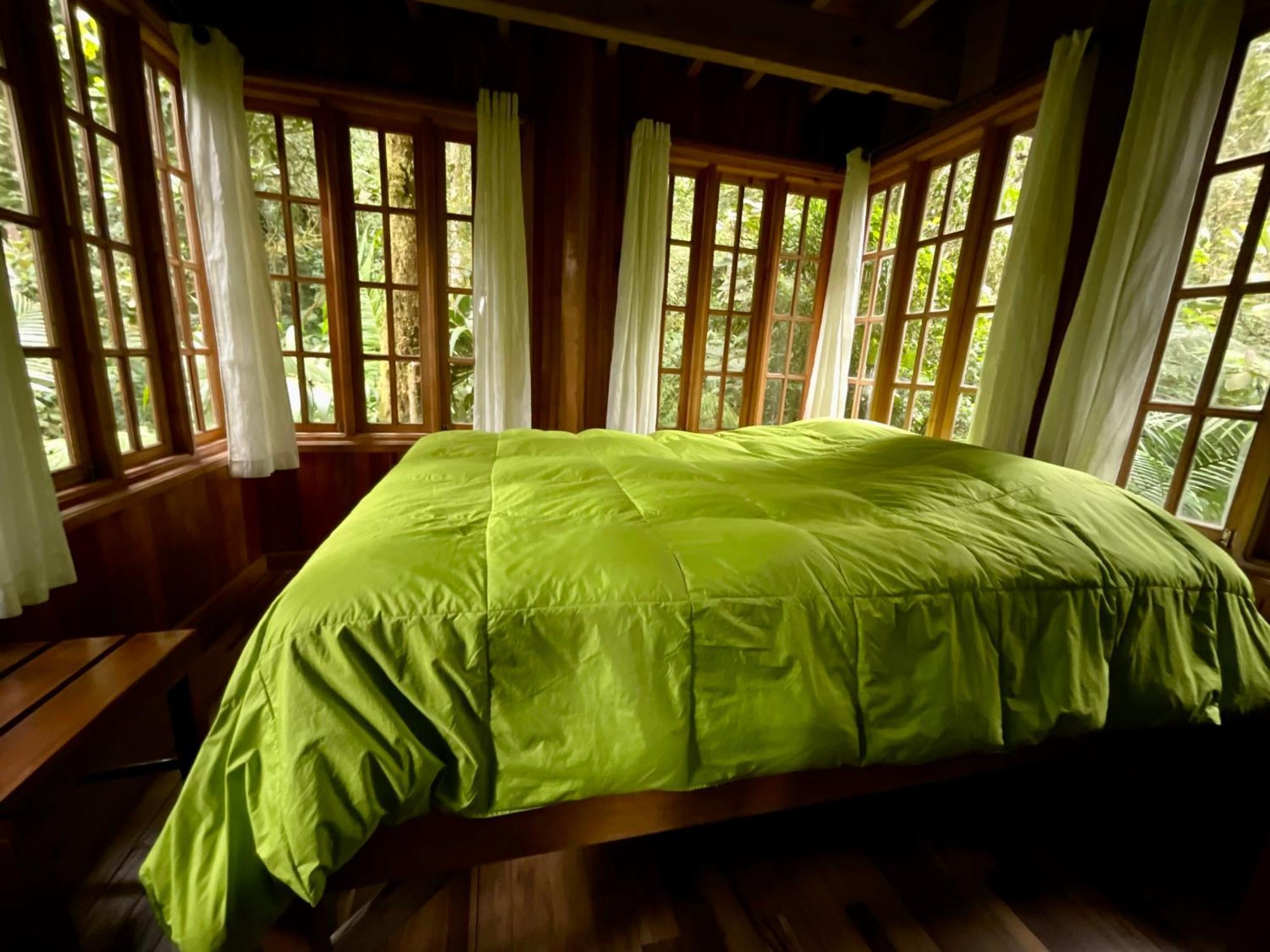 Los Quetzales Ecolodge & Spa Cerro Punta Exteriér fotografie