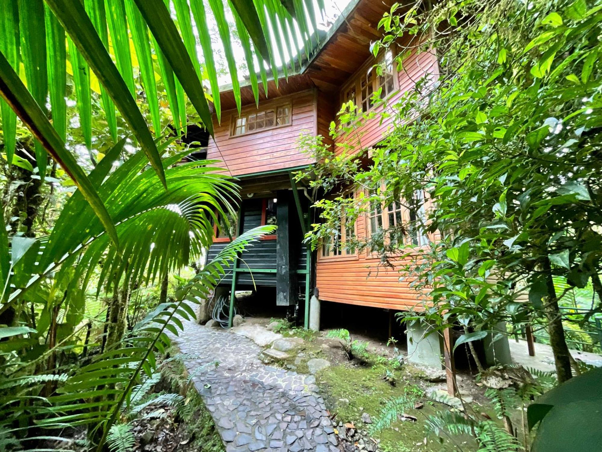 Los Quetzales Ecolodge & Spa Cerro Punta Exteriér fotografie