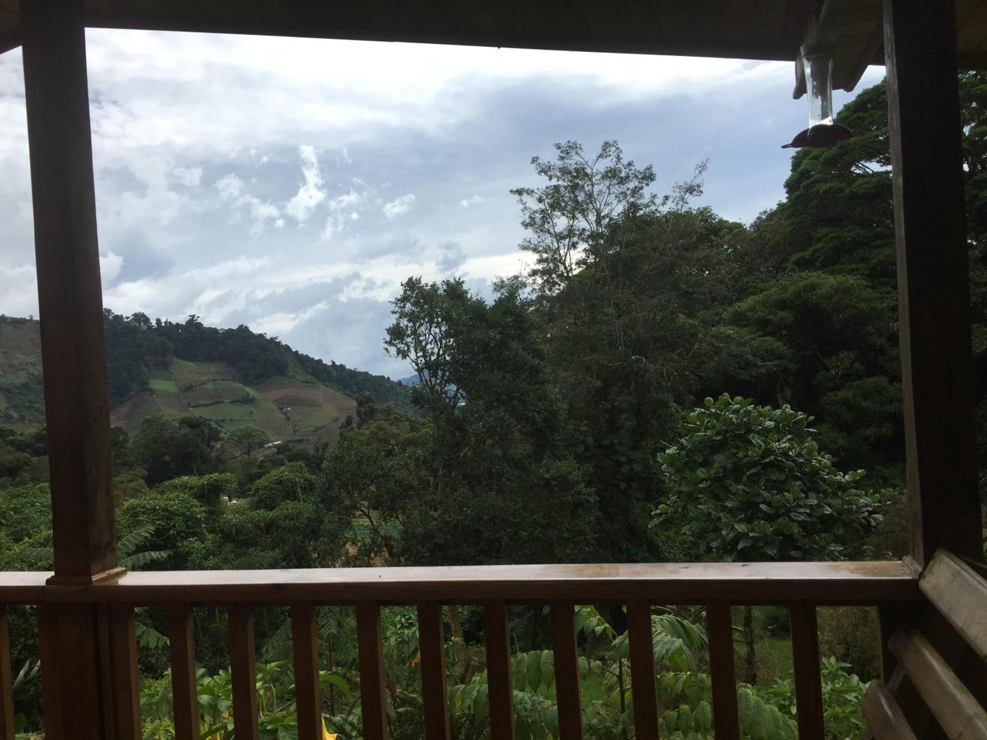 Los Quetzales Ecolodge & Spa Cerro Punta Exteriér fotografie